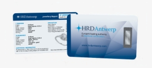 Jewellery Report - Enterprise Software #2846646