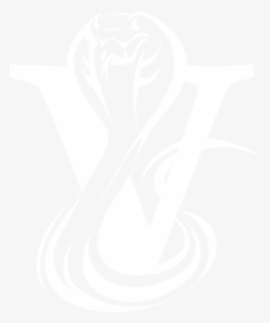 Copyright 2018 © Viper Railcar Storage - Vipers Logo #2846850