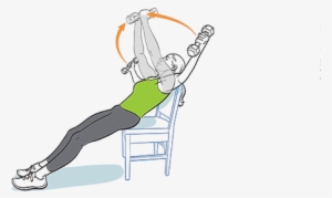 Chest Flye - Thorax #2846968