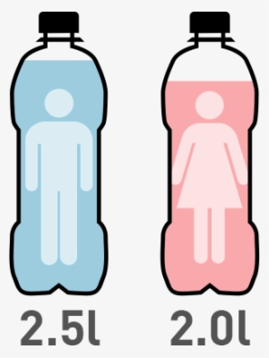 Special Concerns For The Elderly Regarding Hydration - Hidratacion En Las Personas #2847483