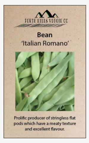 Bean 'italian Romano' - Perth Hills #2847580