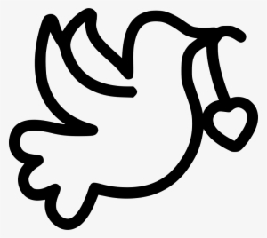 Dove Comments #2847804