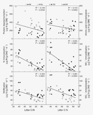 Relationships Between Litter C - Harvest #2847961