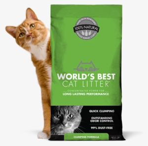 Flushable* Cat Litter That Clumps - World's Best Cat Litter #2848534