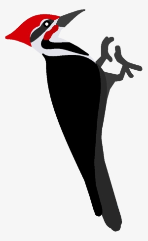 Woodpecker Png Pic - Red Headed Woodpecker Clipart #2848797