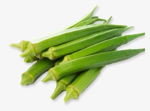 Lady Finger #2848834