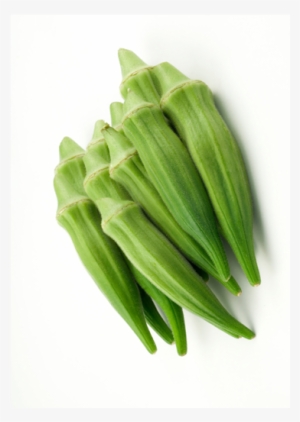 Okra-fw #2849439