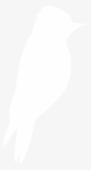 Appearance - Penguin #2849460