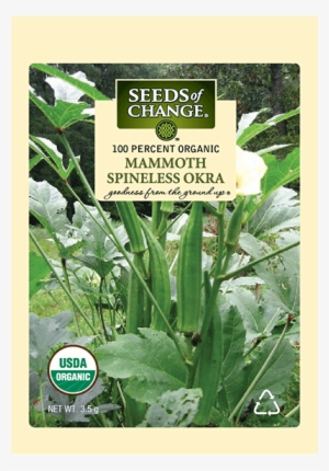 Organic Mammoth Spineless Okra Seeds - Lady Finger Vegetable Plant #2849780