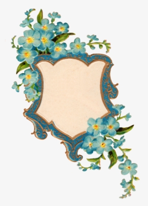 Forget Me Not Png Picture - Forget Me Nots Frame #2849898
