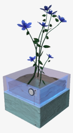 Forget - Me - Not - Delphinium #2849981