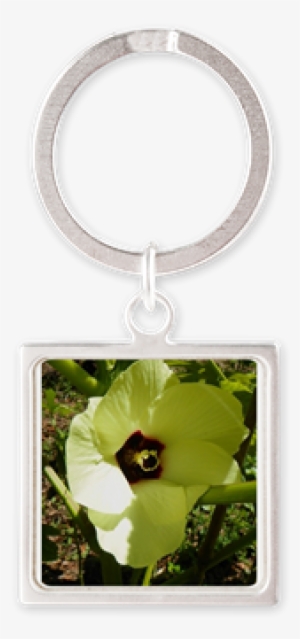 Okra Blossom Keychains - Okra Blossom Mugs #2850053