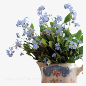 Forget Me Not Png Pic - Forget Me Not .png #2850218