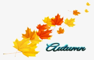 Autumn Leaf Vector Png #2850475