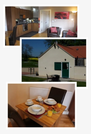 Wendy's Wing Self Catering Cottage Is Pet Freindly - Self Catering #2850524