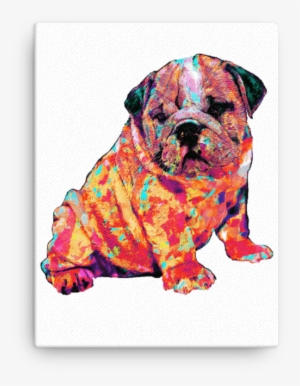 English Bulldog Puppy Colorful Painting Canvas - Painting #2850590