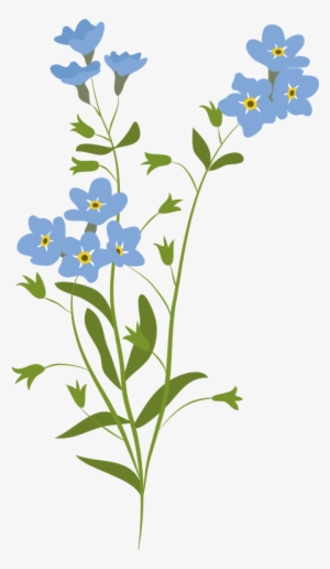 Forget Me Not Illustration - Illustration #2850674