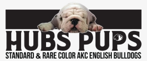 Bulldog #2850679