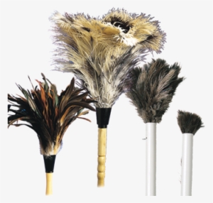 Feather Dusters #2850896