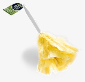 Feather Duster #2850962