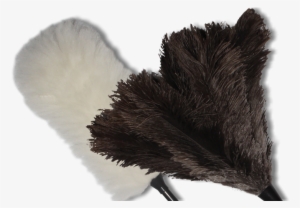 About Us - Fur Clothing #2850988