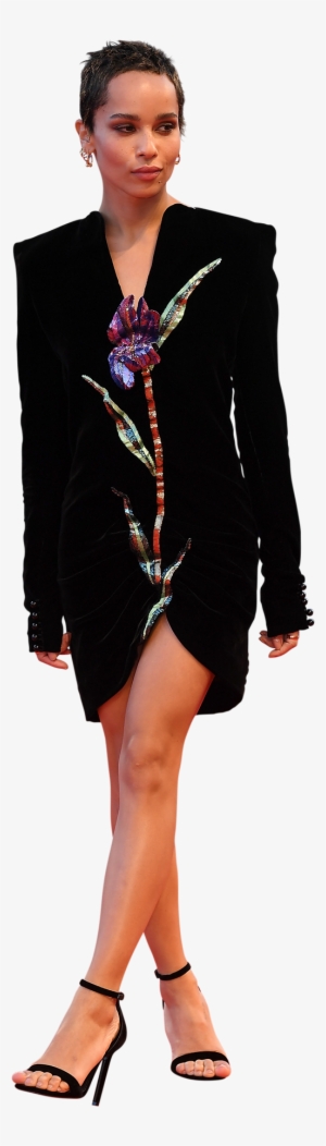 Altuzarra Fringe #2851104