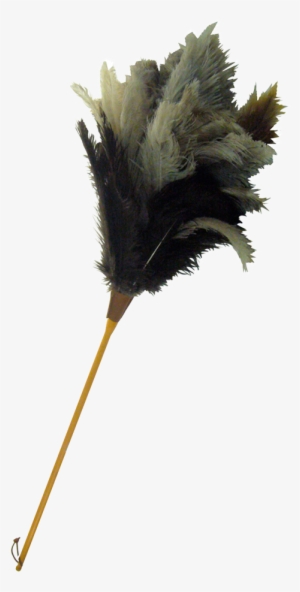 Thumb Image - Plumeau Png #2851294