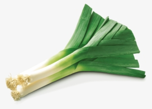 Leek Png #2852948