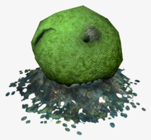 Single Brain Coral - Avocado #2853026