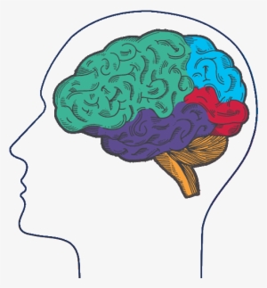 Alternatively, Download The Sponsorship Packet If You - Brain #2853049