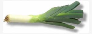 Leek 1 Bunch - Leek #2853828