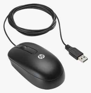 Hp Usb Optical Scroll Mouse - Hp Optical Usb Mouse #2854210