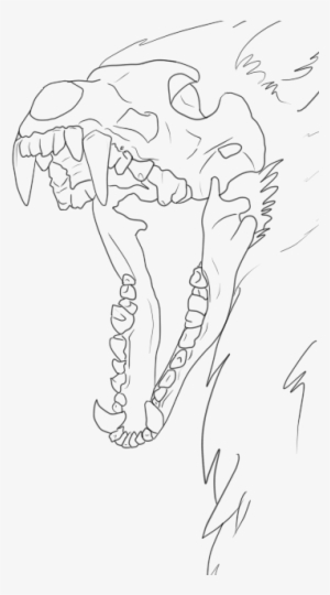 Banner Royalty Free Library Collection Of Free Ram - Wolf Skull Drawing Base #2855064