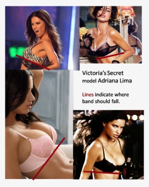Adriana Lima Bras - Sensations - Wayne Madiedo - Download #2855717