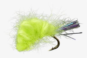 Feather #2855743