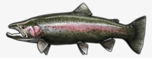 31" Steelhead Trout Fish Mount Replica - Rainbow Trout #2856593
