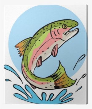 Rainbow Trout #2856737