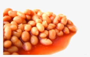 Bakes Beans #2857493