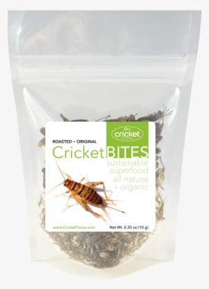 Roasted Crickets & Dried Crickets - Cricket #2858674