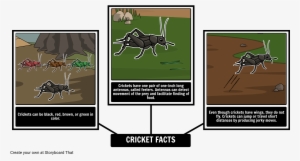 The Cricket In Times Square - The Lightning Thief #2858701 The Cricket In Times Square - The Lightning Thief #2858701