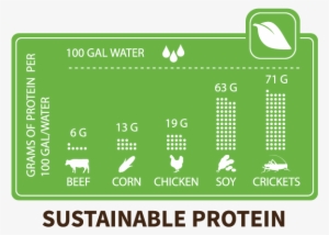 Chapul Why Eat Crickets - Protein In Crickets #2858778