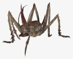 The Vault Fallout Wiki - The Vault #2858905