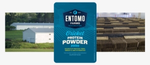 Entomo Farms Offers Crickets An Environment Similar - 【昆虫食】【カナダ産】粉末コオロギ クリケットパウダー 56g(eu 米国 カナダのオーガニック認証) #2858933