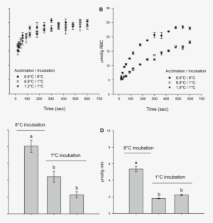 Glycerol Uptake Versus Time By Red Blood Cells From - Diagram #2859463