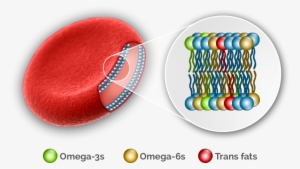 Oq Red Blood Cell Plus - Omega 3 Red Blood Cells #2859576
