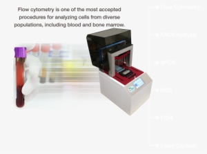 Following Filtration, Cells Were Stained With Different - Machine #2859668