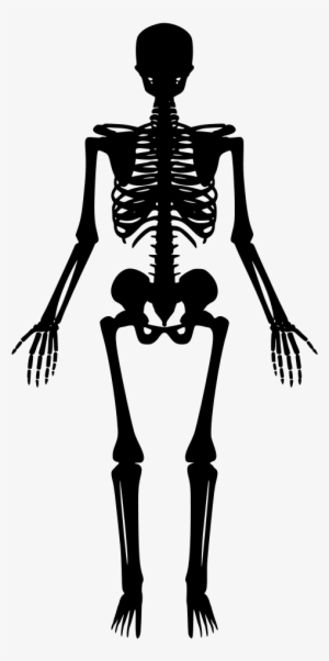 Download Png - Different Kinds Of Joints #2859997