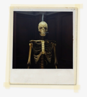 Tx E5 7b Corridor Skeleton Unlocked - Skeleton #2860160 Tx E5 7b Corridor Skeleton Unlocked - Skeleton #2860160