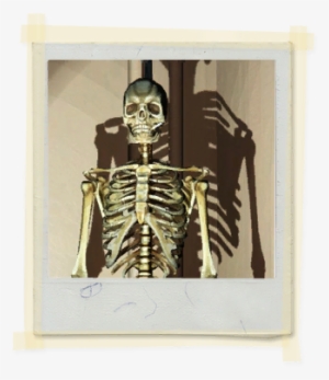 Tx E3 2a Sciclass Skeleton Unlocked - Texas #2860224