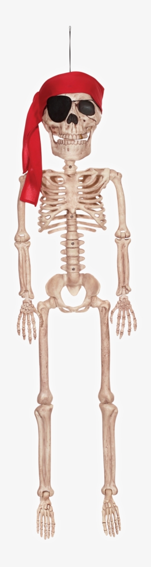 Pirate Skeleton Jr - Crazy Bonez Pirate Skeleton Jr 36" #2860260